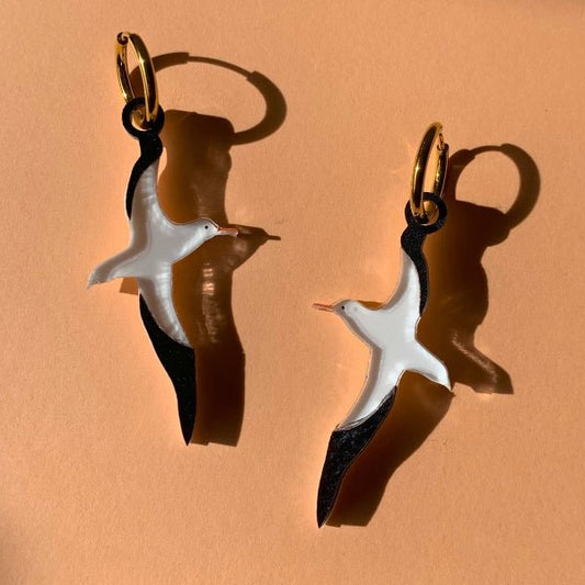 Albatross Huggie EarringsEarringsConiifer Design Studio Jewellery