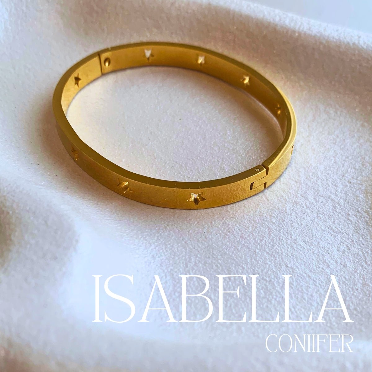 ISABELLA OVAL BANGLEEarringsConiifer Design Studio Jewellery